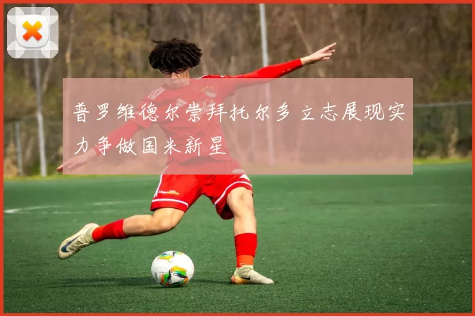 普罗维德尔崇拜托尔多立志展现实力争做国米新星