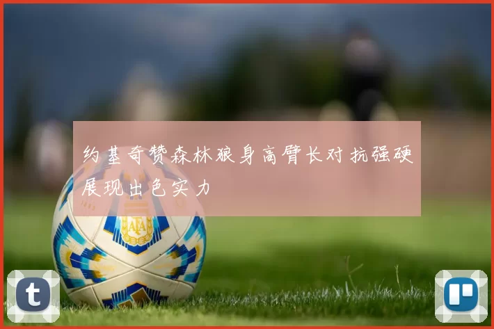 约基奇赞森林狼身高臂长对抗强硬展现出色实力